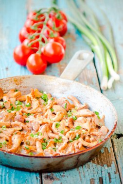 Kızarmış Cantharellus cibarius mantar ile bir tavada yeşil soğan