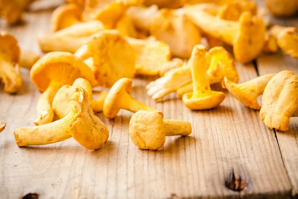 Fresh chanterelle mushrooms on a wooden background — Stock Photo, Image