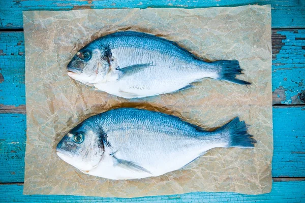 두 개의 원시도 라도 물고기 — 스톡 사진