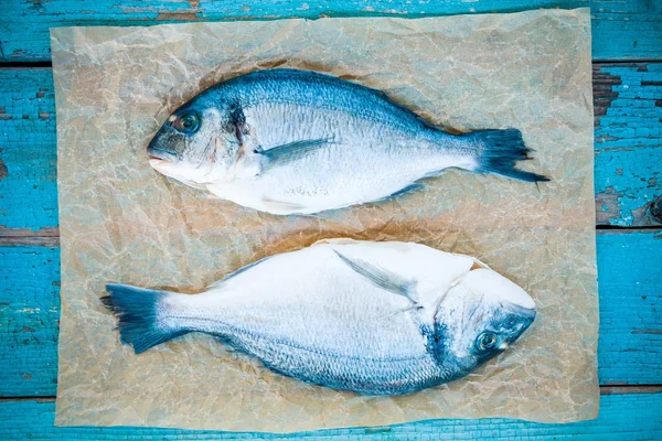 Zwei rohe Dorada-Fische — Stockfoto