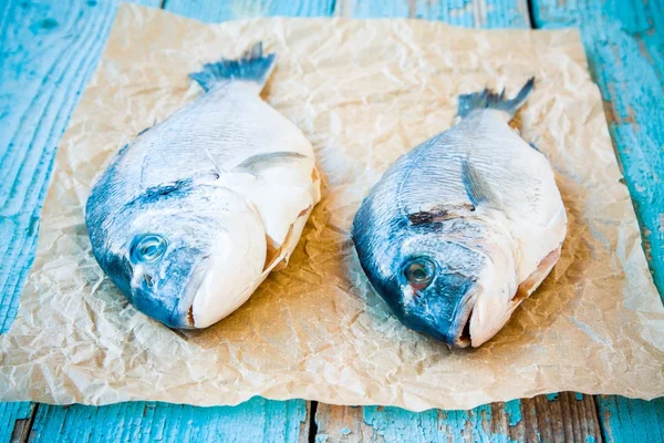 Two raw dorada fishes — Stock Photo, Image