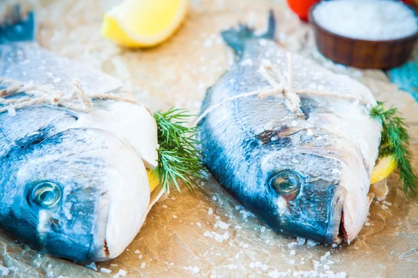 Két nyers dorada halak, citrom, a kapor és a tengeri só — Stock Fotó