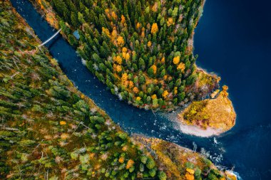 Sonbahar ormanı ve Finlandiya 'da köprüsü olan mavi nehrin havadan görünüşü. Güzel sonbahar manzarası.
