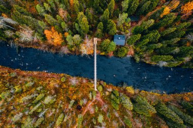 Sonbahar ormanı ve Finlandiya 'da köprüsü olan mavi nehrin havadan görünüşü. Güzel sonbahar manzarası.