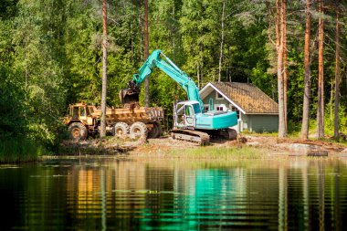 Gölün kıyısında mavi tarak temizler 