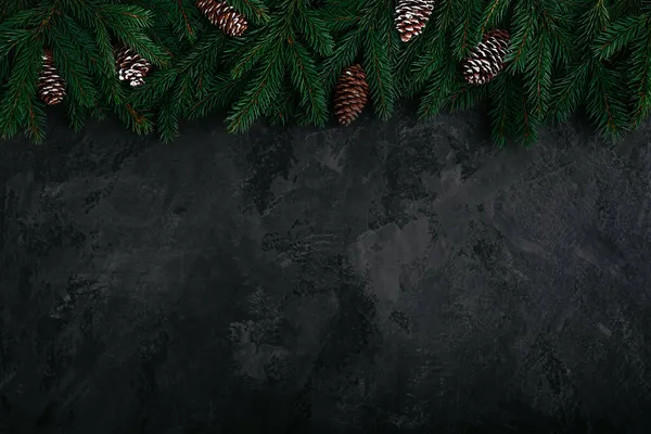 Christmas Background Green Fir Branches Cones Top View Copy Space — Stock Photo, Image
