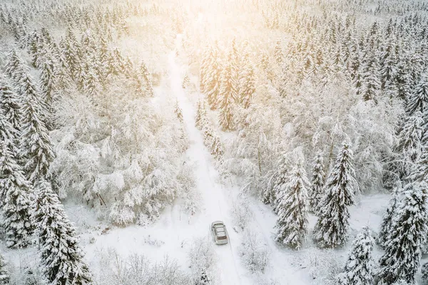 Widok Lotu Ptaka Zimową Drogę Samochodem Lesie Pokrytym Śniegiem Mroźnymi — Zdjęcie stockowe
