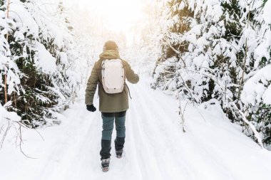 Ağaçlar arasındaki karlı ormanda yürüyen turistlerin arka görüntüsü. Sırt çantalı bir adam kar ormanında yürüyor..