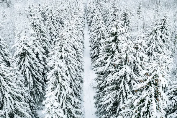 Widok Powietrza Zimowy Las Pokrytymi Śniegiem Jodłami Wiejską Drogą — Zdjęcie stockowe