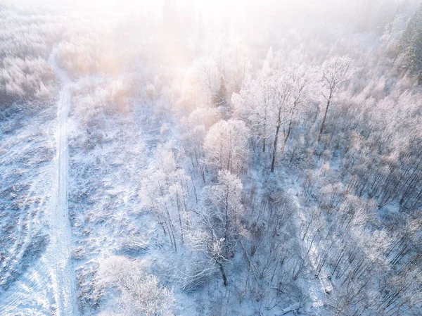 Vista Aérea Floresta Inverno Neve Com Sol Manhã Bela Paisagem — Fotografia de Stock