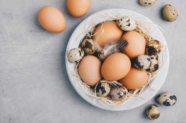 Eggs. Raw organic farm chicken and quail eggs in bowl on gray stone background, top view