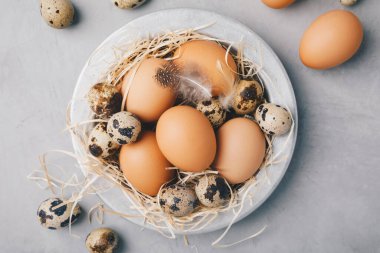 Eggs. Raw organic farm chicken and quail eggs in bowl on gray stone background, top view