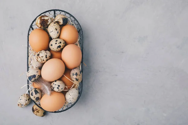 Eier Rohe Bio Bauernhühner Und Wachteleier Korb Auf Grauem Steinhintergrund — Stockfoto