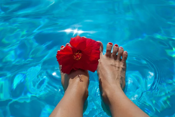 Sexy hembra piernas desnudas con hibisco sobre la piscina — Foto de Stock