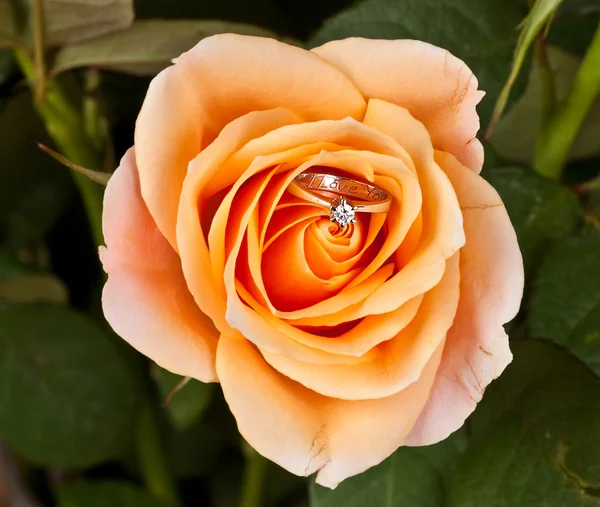 Ehering in rosa eleganter Rose — Stockfoto