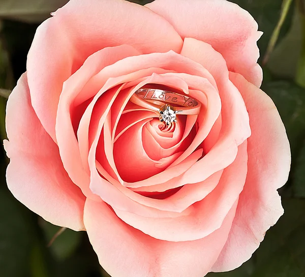 Anel de casamento em rosa elegante rosa — Fotografia de Stock