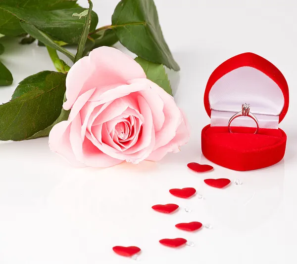 Ροζ τριαντάφυλλο με δαχτυλίδια από κοντά — Φωτογραφία Αρχείου