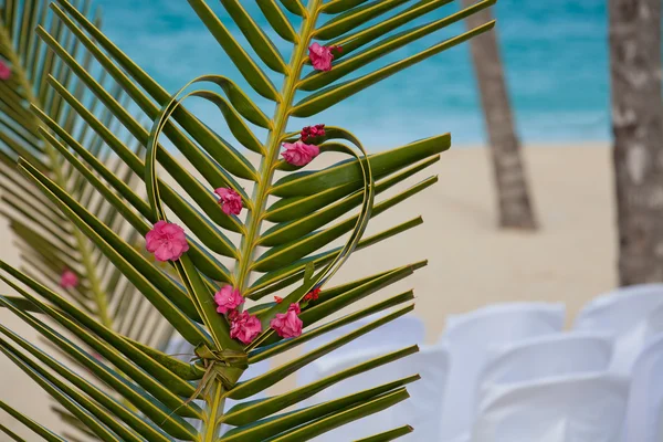 Arc avec des fleurs sur la mer tropicale — Photo