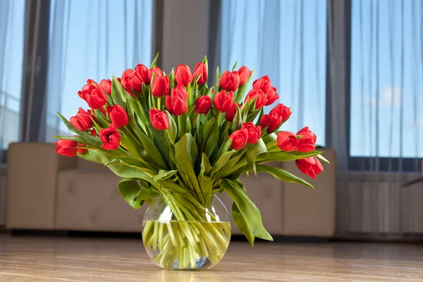 Red tulips — Stock Photo, Image