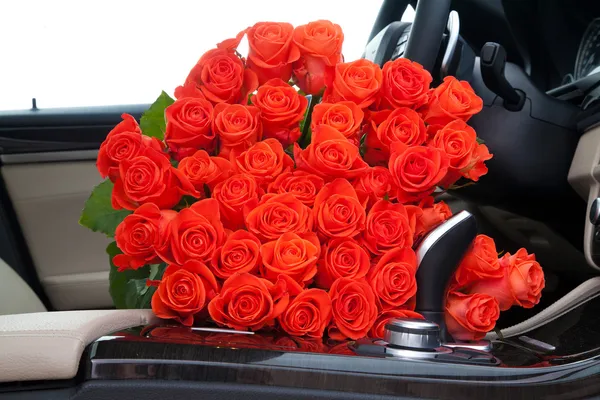 Freshly red roses — Stock Photo, Image