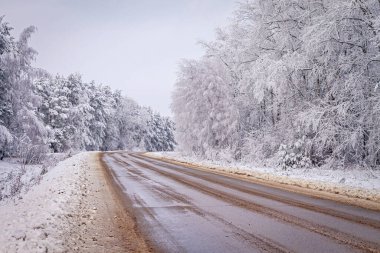 Bir kış günü. Karda ağaçlar, kar yığınları. Peri masalı ormanı. Güzel kış manzarası.