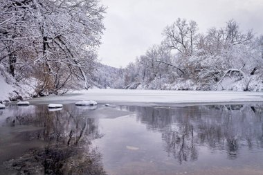 Nehir kıyısındaki kış ormanı. Çok güzel doğal arka plan..