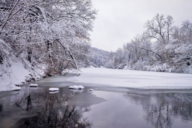 Nehir kıyısındaki kış ormanı. Çok güzel doğal arka plan..