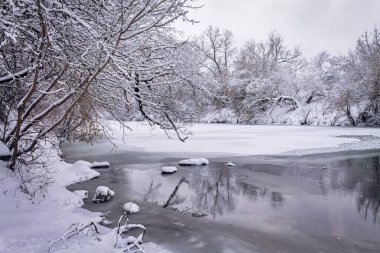 Nehir kıyısındaki kış ormanı. Çok güzel doğal arka plan..