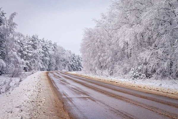 Зимний День Деревья Снегу Сугробы Сказочный Лес Красивый Зимний Пейзаж — стоковое фото
