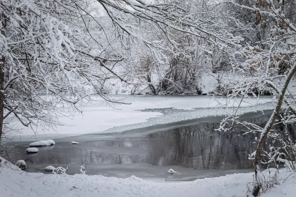 Зимний лес у реки. Очень красивый природный фон. — стоковое фото