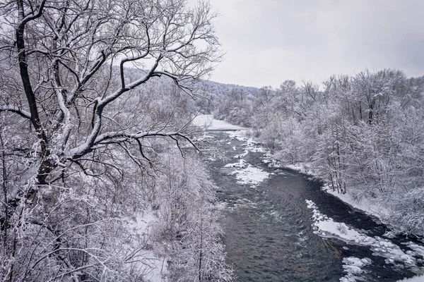 Foresta invernale lungo il fiume. Molto bello sfondo naturale. — Foto Stock