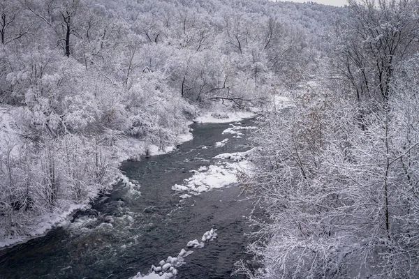 Foresta invernale lungo il fiume. Molto bello sfondo naturale. — Foto Stock