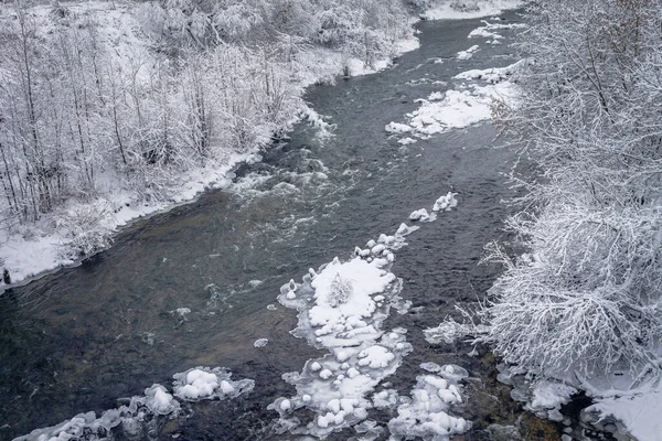 Foresta invernale lungo il fiume. Molto bello sfondo naturale. — Foto Stock