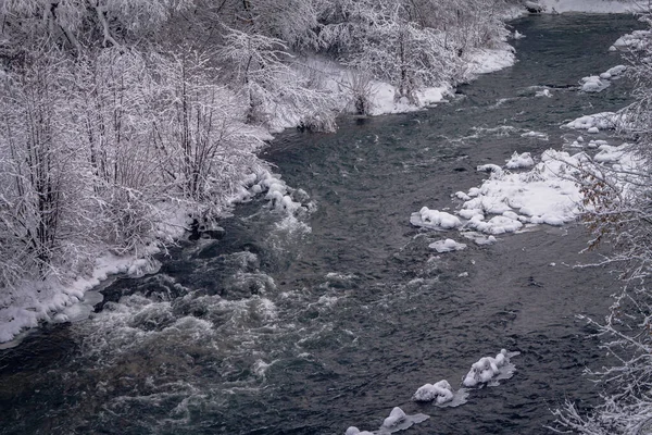 Foresta invernale lungo il fiume. Molto bello sfondo naturale. — Foto Stock