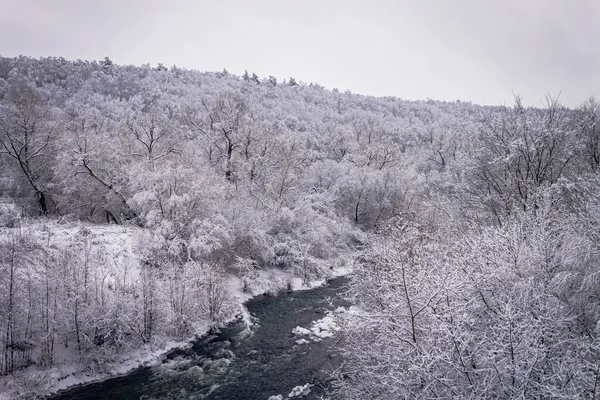 Зимний лес у реки. Очень красивый природный фон. — стоковое фото
