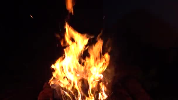 Plamen Oheň Uhlíky Noci Tmavé Pozadí — Stock video