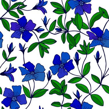 Yaz çiçeklerinin vektör çizimi