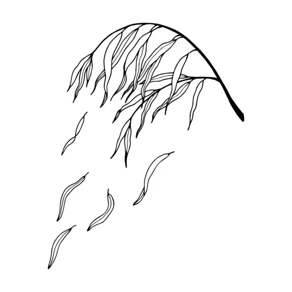 Illustration Vectorielle Beau Croquis Feuilles Sur Branche — Image vectorielle