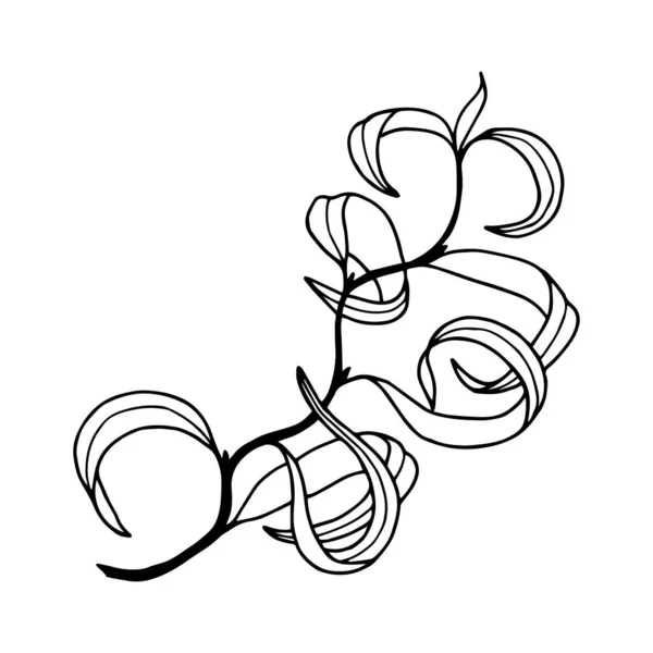 葉を持つ枝 ウィロー ツイスト ベクトルイラスト 白い背景 手描きに分離 — ストックベクタ