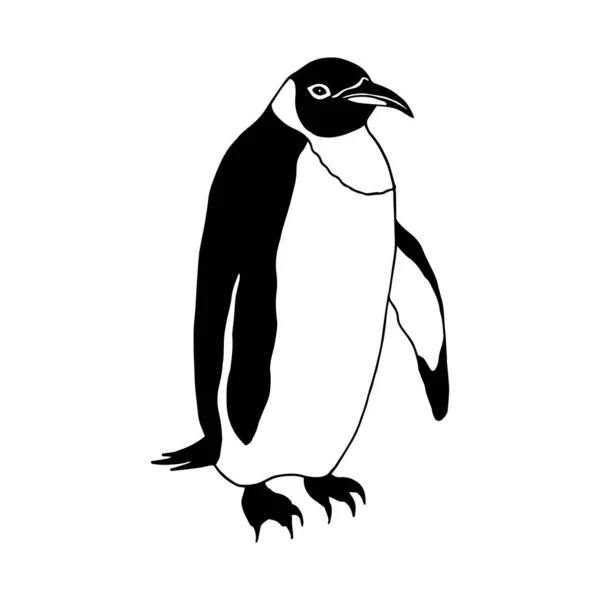 Penguin Imperial Vector Illustration Isolated White Background Outline Hand Drawing — Vetor de Stock