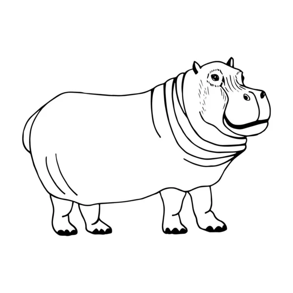 Hippopotamus Vector Illustration Isolated White Background Outline Hand Drawing — Vetor de Stock