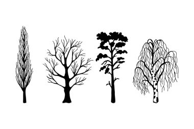 Bir bitki kümesinin vektör çizimi