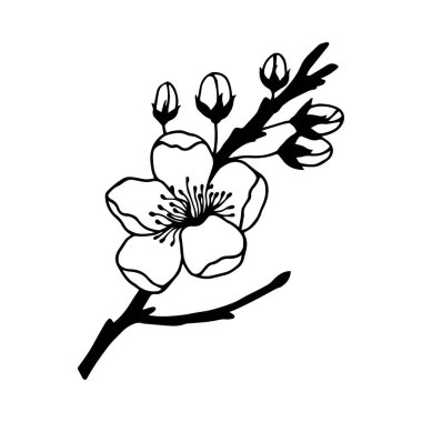 Güzel bir botanik bahçesi çiçeğinin vektör çizimi