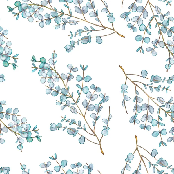 Modèle Sans Couture Une Branche Avec Des Feuilles Eucalyptus Illustration — Photo