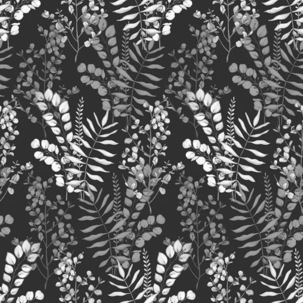 Naadloos Patroon Van Een Tak Met Eucalyptusbladeren Aquarelillustratie — Stockfoto