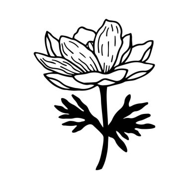 Bahar çiçeği. Vektör hisse senedi çizimi E10. Beyaz arkaplanda izole et, taslak, el çizimi.