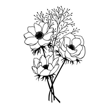Bir buket Anemone çiçeği. Vektör hisse senedi çizimi E10. Beyaz arkaplanda izole et, taslak, el çizimi.