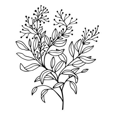 Yapraklı dekoratif dal. Vektör hisse senedi çizimi E10. Beyaz arkaplanda izole et, taslak, el çizimi.