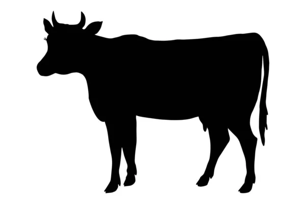 Σκιαγραφία Αγελάδας Εικονογράφηση Διανυσμάτων Στοκ Eps10 Απομονώστε Λευκό Φόντο Περίγραμμα — Διανυσματικό Αρχείο