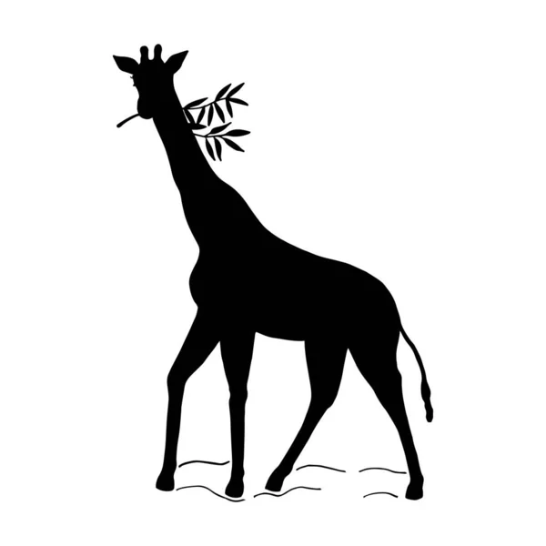 Giraffe Silhouette Vektoraktienillustration Eps10 Isoliert Auf Weißem Hintergrund Umriss Handzeichnung — Stockvektor